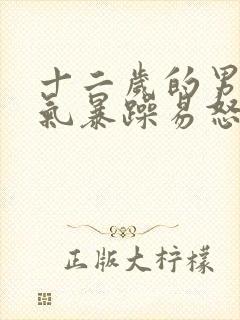 十二岁的男孩脾气暴躁易怒