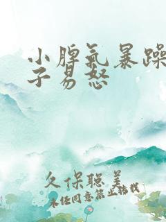 小脾气暴躁的孩子易怒