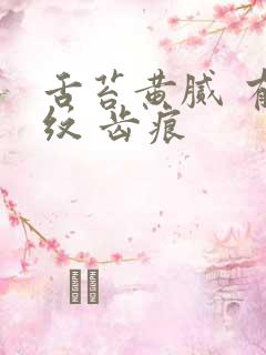 舌苔黄腻 有裂纹 齿痕