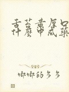 舌苔黄厚口臭吃什么中成药