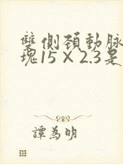 双侧颈动脉有斑块15×2.3是什么程度