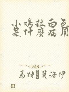 小鸡拉白色粪便是什么病用什么药