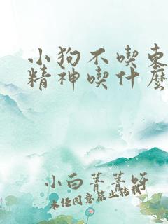 小狗不吃东西没精神吃什么药