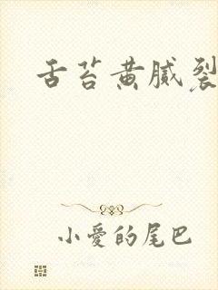 舌苔黄腻裂纹舌