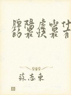 脾阳虚吃什么好的最快最有效