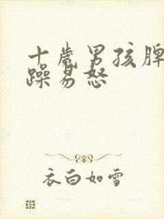 十岁男孩脾气暴躁易怒