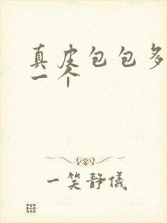 真皮包包多少钱一个