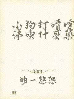 小狗打喷嚏流鼻涕吃什么药效果好