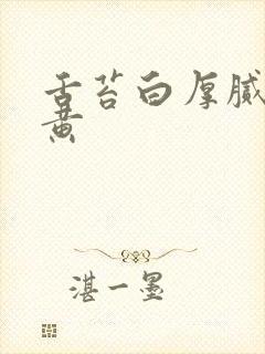 舌苔白厚腻有点黄