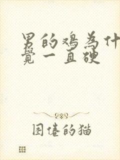 男的鸡为什么睡觉一直硬