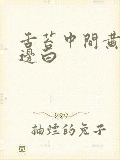 舌苔中间黄厚腻边白