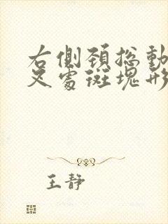 右侧颈总动脉分叉处斑块形成