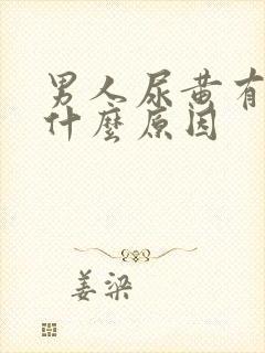 男人尿黄有沫是什么原因