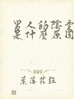 男人的阴囊出血是什么原因