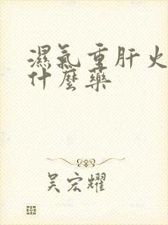 湿气重肝火旺吃什么药