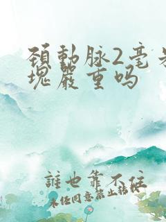 颈动脉2毫米斑块严重吗