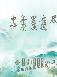 中年男夜尿多是什么原因