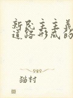 新民主主义革命道路形成的必然性有哪些