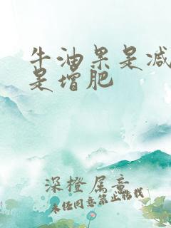 牛油果是减肥还是增肥