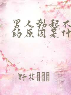 男人勃起不够硬的原因是什么