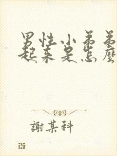 男性小弟弟硬不起来是怎么回事