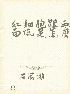 红细胞跟血红蛋白低是怎么回事