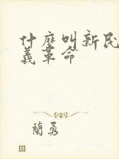 什么叫新民主主义革命