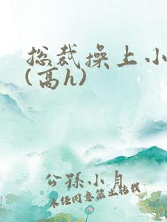 总裁操上小娇妻(高h)