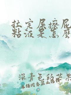 拉完屎擦屁股有粘液是怎么回事