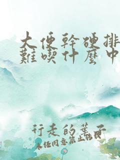 大便干硬排便困难吃什么中成药