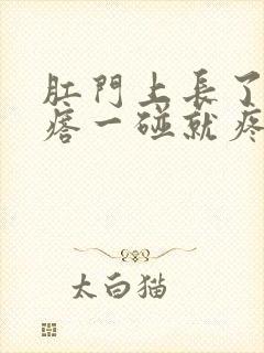 肛门上长了个疙瘩一碰就疼