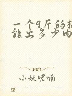 一个9斤的榴莲能出多少肉