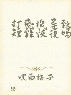 打飞机导致时间短能恢复吗