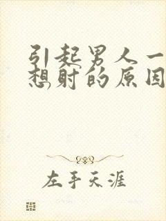 引起男人一插就想射的原因