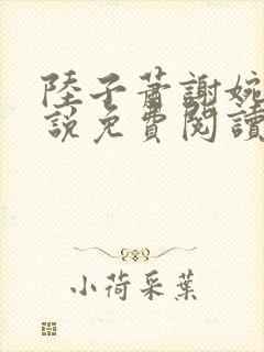 陆子萧谢婉婉小说免费阅读最新章节