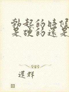 勃起的时候龟头是硬的还是软的