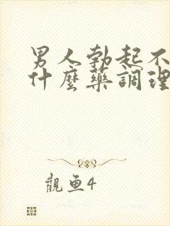 男人勃起不坚吃什么药调理