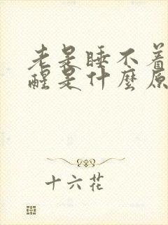 老是睡不着容易醒是什么原因