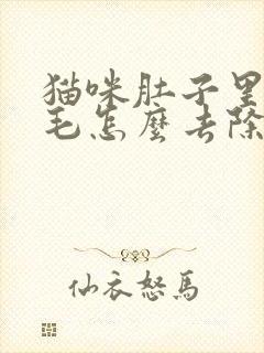 猫咪肚子里面有毛怎么去除