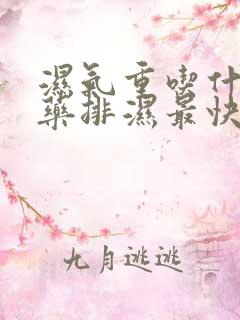 湿气重吃什么中药排湿最快最有效方法