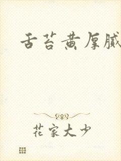 舌苔黄厚腻口苦