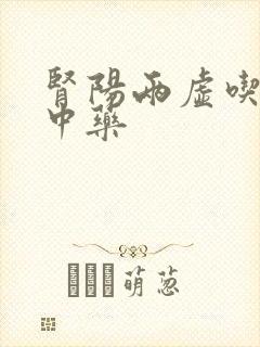 肾阳两虚吃什么中药