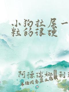 小狗拉屎一粒一粒的很硬