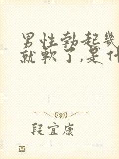 男性勃起几分钟就软了,是什么原因