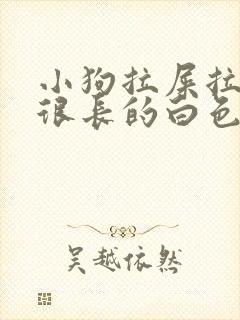 小狗拉屎拉出来很长的白色的虫子