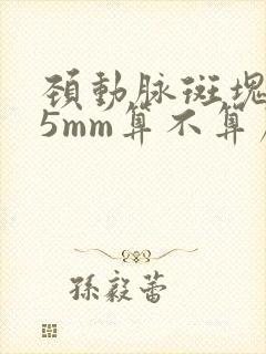 颈动脉斑块2.5mm算不算严重