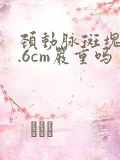 颈动脉斑块厚2.6cm严重吗