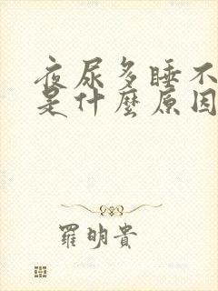 夜尿多睡不着觉是什么原因