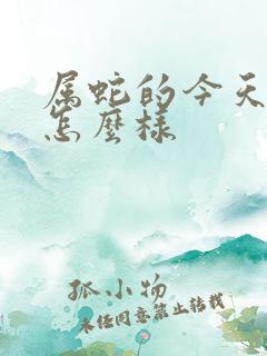 属蛇的今天财运怎么样