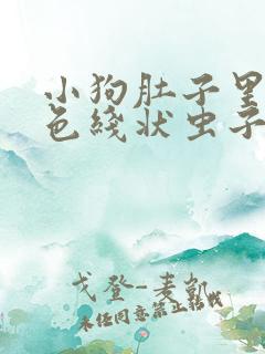 小狗肚子里有白色线状虫子